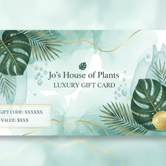 Collection image for: Cadeaubon Jo's House of Plants