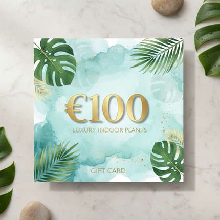 €100 Cadeaubon Jo's House of Plants