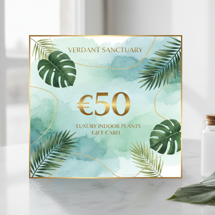 €50 Cadeaubon Jo's House of Plants