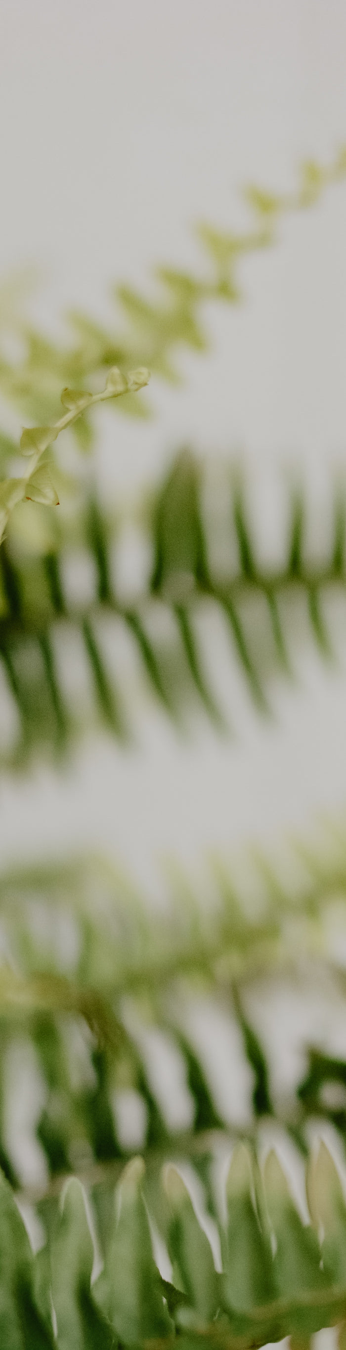 <h1>Prijsmatch Aanvraagformulier</h1>