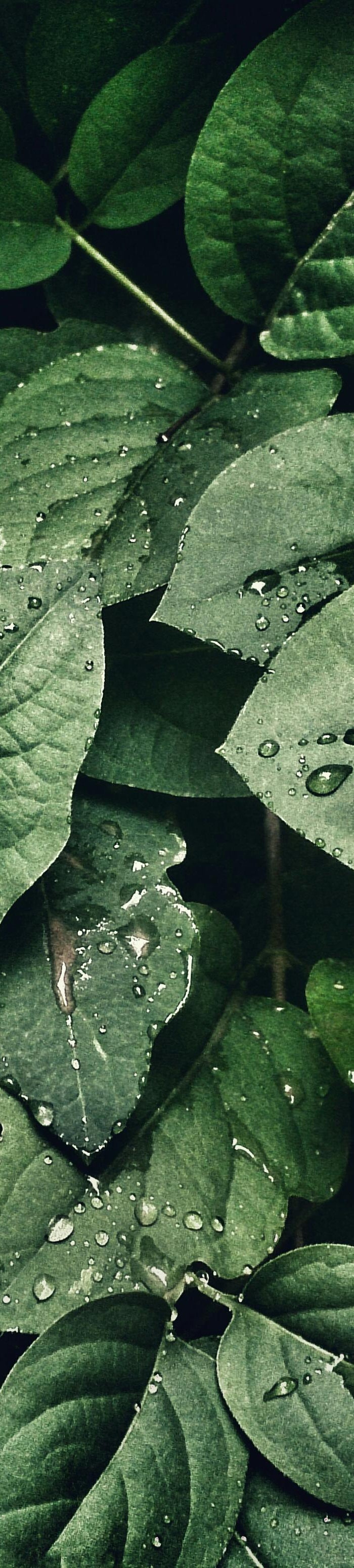 <h1>Vragen? Neem contact met ons op.</h1>