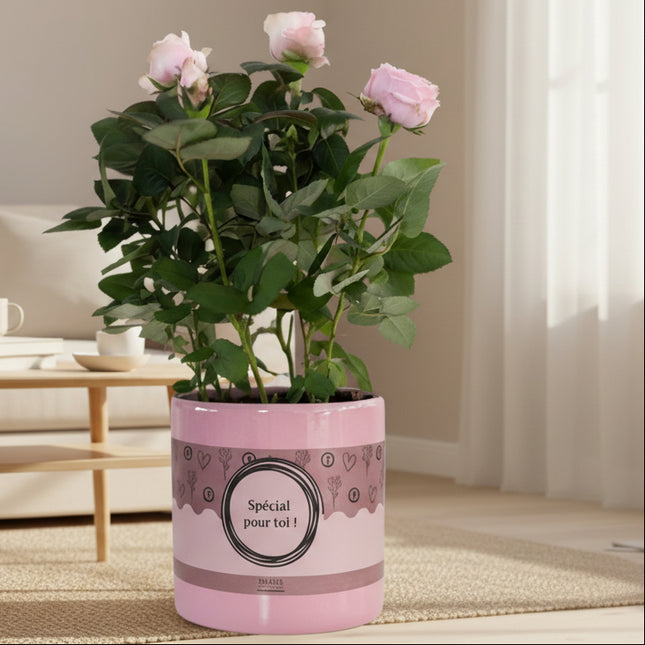 Rosa Light Pink - Lichtroze Roos in Special Pour Toi Verpakking - Premium Kamerplant - Ø12cm