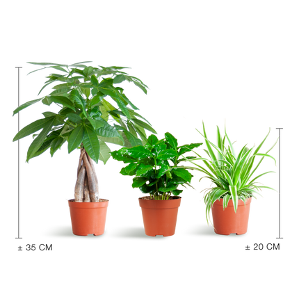 Diervriendelijke Plantenbox - klein - zonder sierpot - Ø12