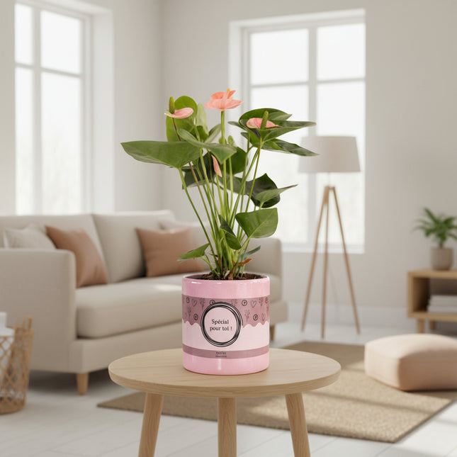 Anthurium Pink (Spirit) In P&PURE "SPECIAL POUR TOI" Verpakking - Ø12cm - ↕45cm