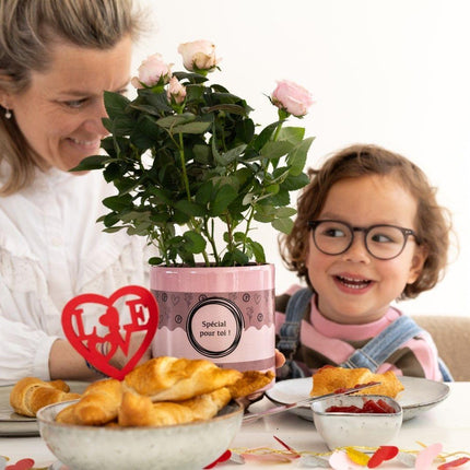 Rosa Light Pink - Lichtroze Roos in Special Pour Toi Verpakking - Premium Kamerplant - Ø12cm