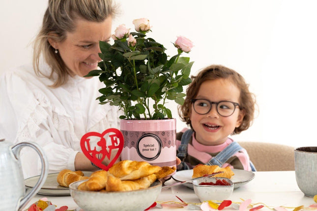 Rosa Light Pink - Lichtroze Roos in Special Pour Toi Verpakking - Premium Kamerplant - Ø12cm