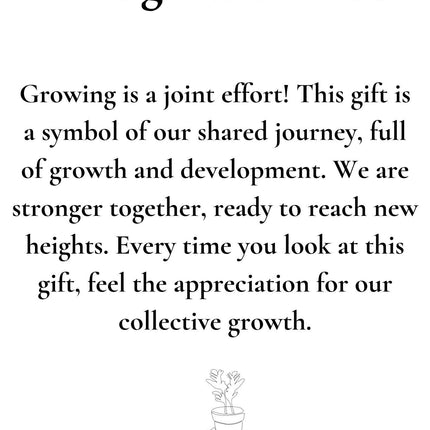 Sansevieria Gift "Let's Grow With Us" WITH GREETING CARD! - Ø12cm - ↕30cm