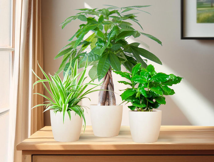 <h1>Waar natuur en interieur elkaar ontmoeten</h1>