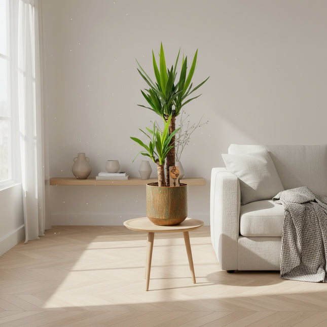 yucca-met-pot-100cm-o21cm